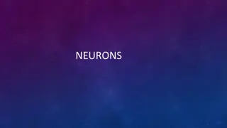 NEURONS