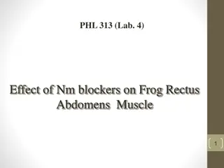 Effect of Nm Blockers on Frog Rectus Abdomens Muscle