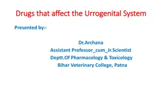 Drugs that affect the Urrogenital System