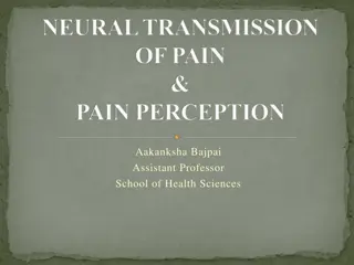 NEURAL TRANSMISSION  OF PAIN  & PAIN PERCEPTION