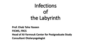 Inner Ear Infections & Labyrinthitis