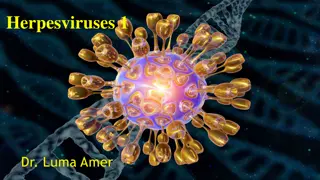 Herpesviruses 1