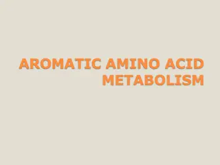 AROMATIC AMINO ACID   METABOLISM