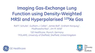 Gas Exchange in Lung Function Using Density-Weighted MRSI