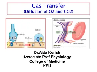 Gas Pressures & Exchange in Physiology