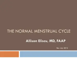 THE NORMAL MENSTRUAL CYCLE