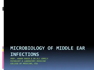 MICROBIOLOGY OF MIDDLE EAR  INFECTIONS