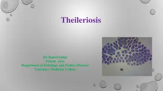 Theileriosis