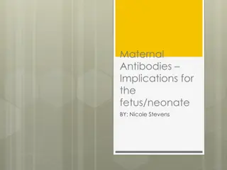 Maternal Antibodies and Fetal Health Implications