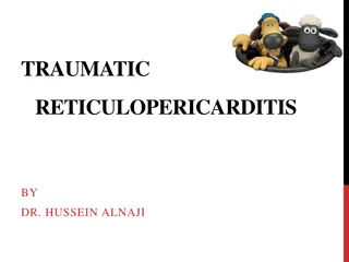 TRAUMATIC RETICULOPERICARDITIS