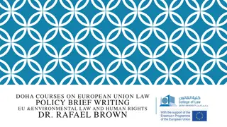 EU Law Policy Brief Writing: Defining Key Policy Issues