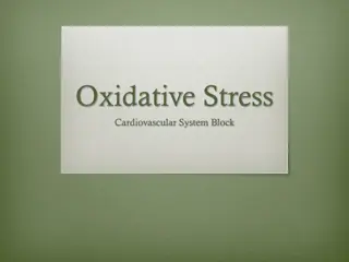 Oxidative Stress