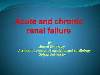 Understanding Acute and Chronic Renal Failure