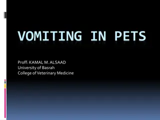 VOMITING IN PETS