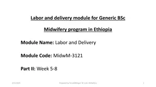 Labor and Delivery Module for BSc Midwifery Program in Ethiopia