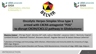 Oncolytic Herpes Virus Armed with CXCR4 Antagonist in Glioblastoma