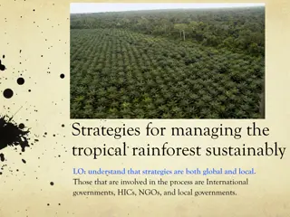 Sustainable Strategies for Tropical Rainforest Management