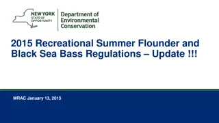 2015 Recreational Summer Flounder and Black Sea Bass Regulations Update