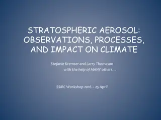 STRATOSPHERIC AEROSOL:  OBSERVATIONS, PROCESSES,  AND IMPACT ON CLIMATE