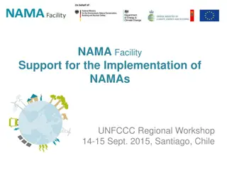 NAMA Facility Support for Mitigation Actions in Developing Countries