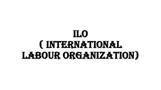 The International Labour Organization (ILO): History, Objectives, and Structure