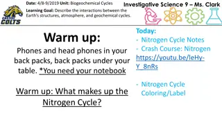 Investigating Biogeochemical Cycles in Science Class