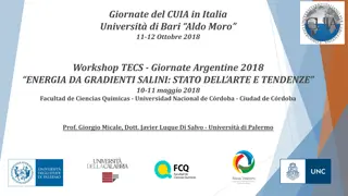 Salinity Gradient Energies Workshop in Argentina