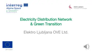 Electricity Distribution Network  & Green Transition