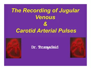 Cardiovascular Physiology: JVP, CAP, and Pulse Waveform Analysis