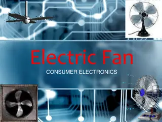 Electric Fan