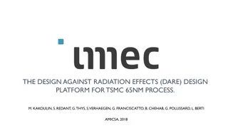 THE DESIGN AGAINST RADIATION EFFECTS (DARE) DESIGN  PLATFORM FOR TSMC 65NM PROCESS.