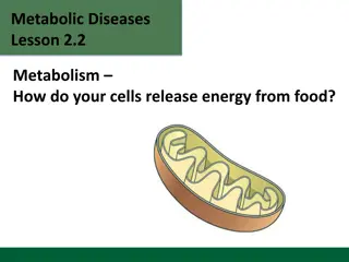 How Cells Release Energy from Food: Metabolic Diseases Lesson