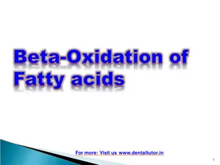 Beta-Oxidation of Fatty Acids: Process and Significance