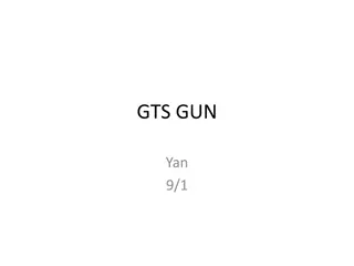 GTS GUN