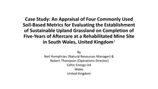 Appraisal of Soil-Based Metrics for Sustainable Upland Grassland in South Wales