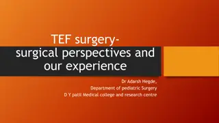 TEF Surgery: Surgical Perspectives and Our Experience