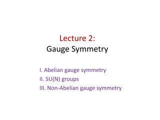 Lecture 2: Gauge Symmetry