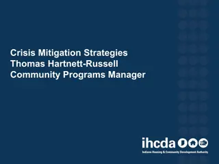 Crisis Mitigation Strategies Overview