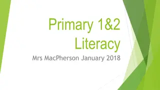 Primary 1&2  Literacy