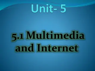 Multimedia and Internet Overview