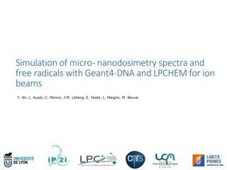 Simulation of Micro-Nanodosimetry Spectra and Free Radicals in Hadrontherapy