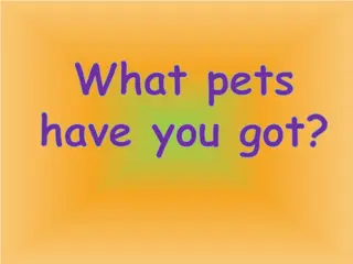 Inquire about Pet Possessions