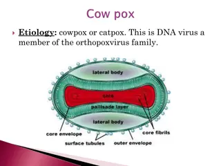 Cowpox and Catpox: DNA Virus Etiology