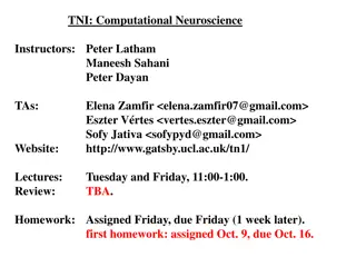 Neuroscience at UCL: Computational Brain Insights