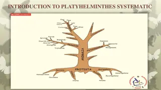 INTRODUCTION TO PLATYHELMINTHES SYSTEMATIC