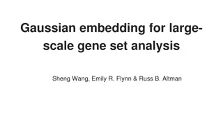 Gaussian Embedding for Large-Scale Gene Set Analysis