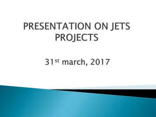 Effective Project Execution and Presentation