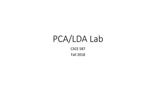 PCA/LDA Lab