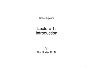 Introduction to Linear Algebra: Syllabus, Examples, and Solutions