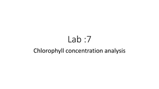 Chlorophyll and Algae